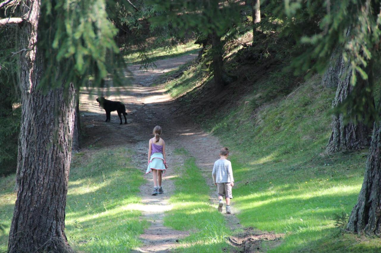 Naturpark Bauernhof Sperl Mariahof Exterior photo